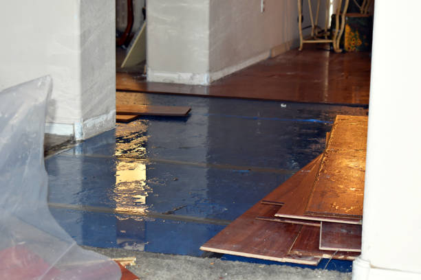 Professional Flood Damage Repair technician working in Lynnville, IN